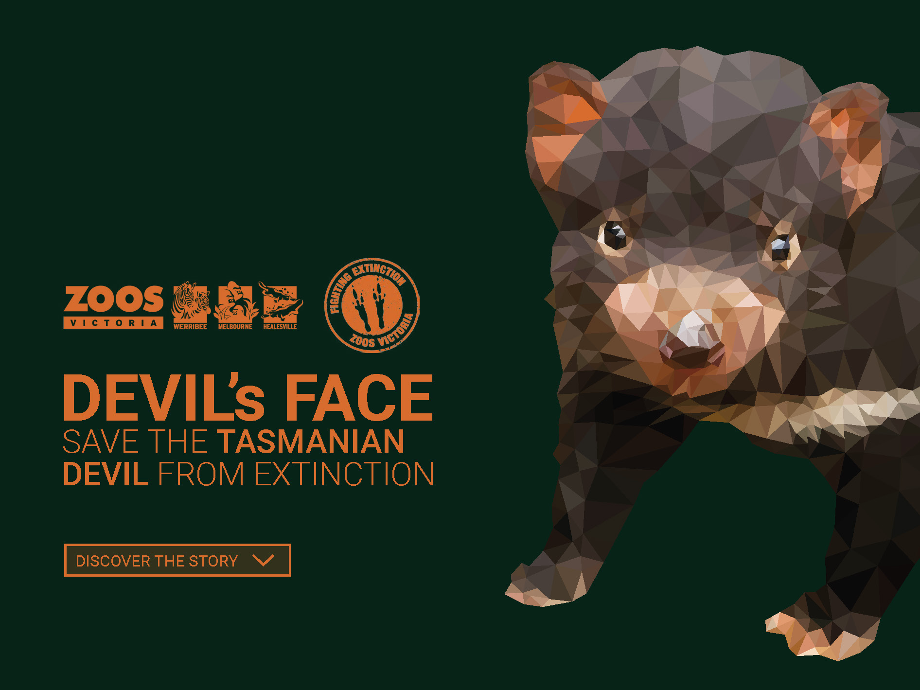 Supporting Endangered Animals through Information Design: Project Devil’s Face